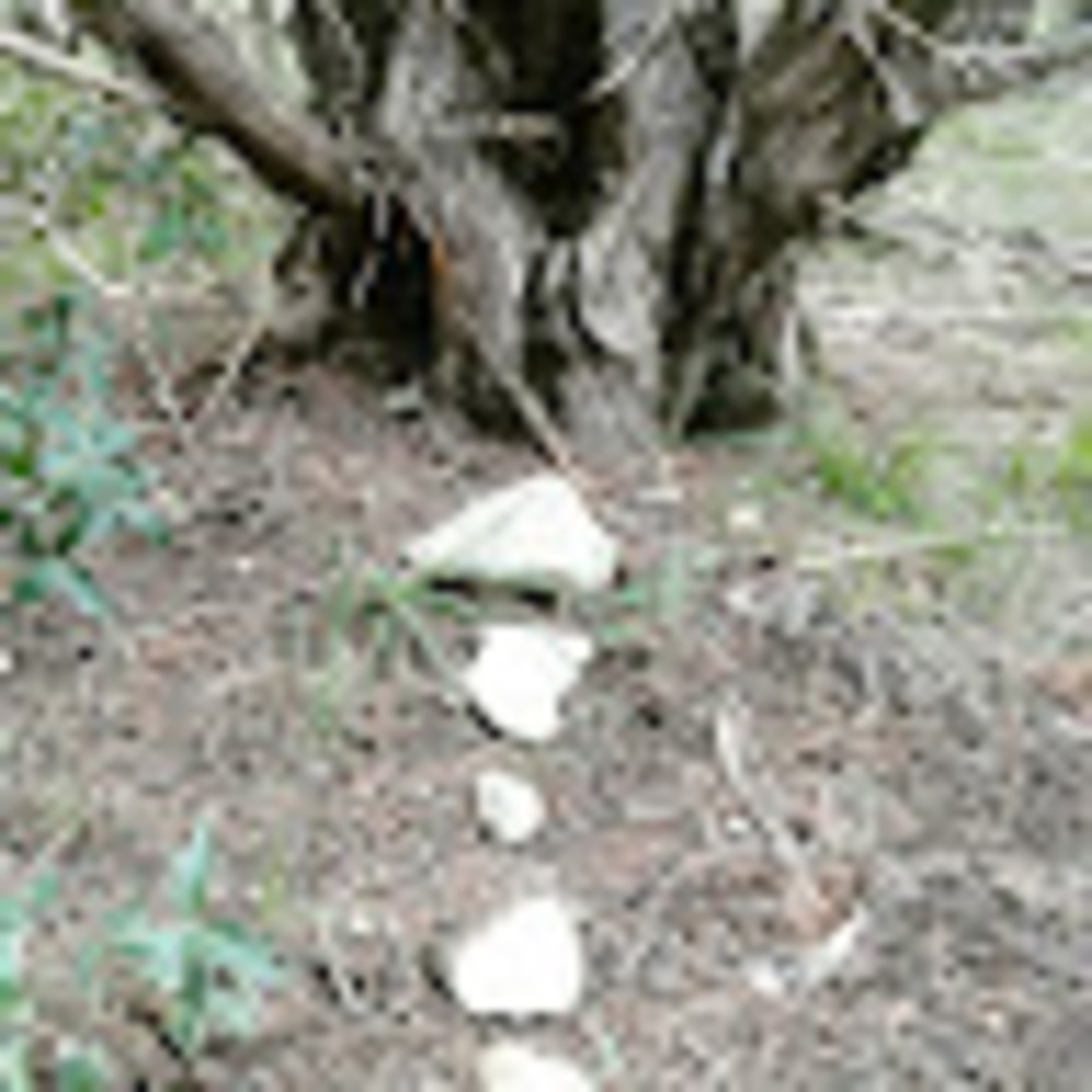 Meet your Posher, Rin